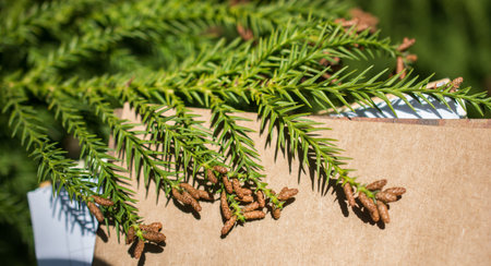Leaves in hand over a notebook page
