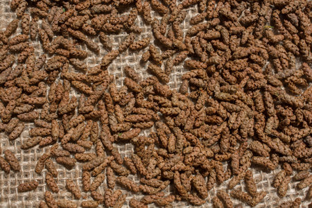 Background with a certain texture patternの写真素材