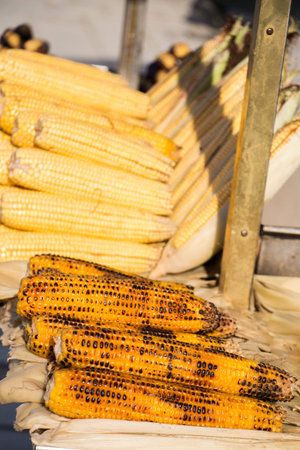 Corn on the cob kernels are peeled and grilled