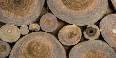 small piece of cut wood logs used for  wood texture backgroundの写真素材