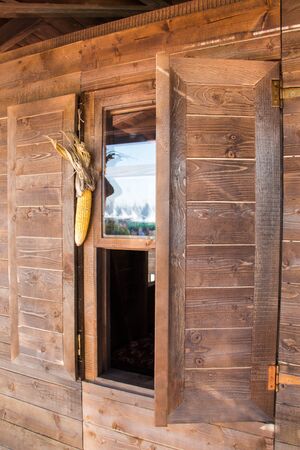 Dry corn on the cob kernels are peeledの写真素材