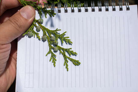 Leaves in hand over a notebook pageの写真素材