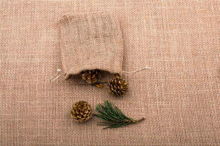 Pine cones out of sack on a canvas backgroundの写真素材
