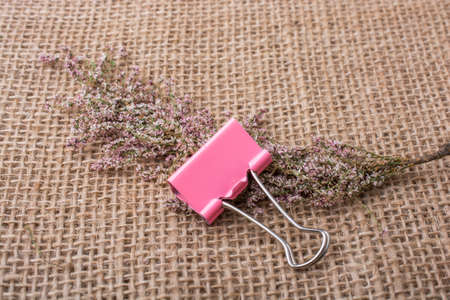 Colorful clip placed on a  linen canvasの写真素材