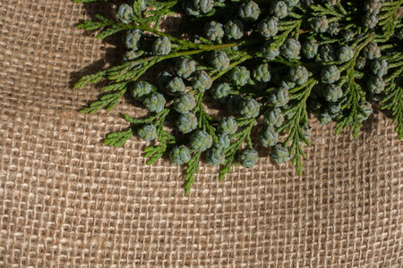 Green leaves placed on linen canvas