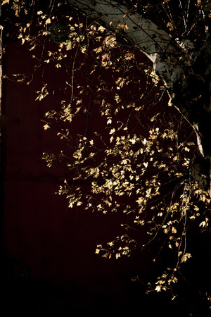 Background with a certain texture patternの写真素材