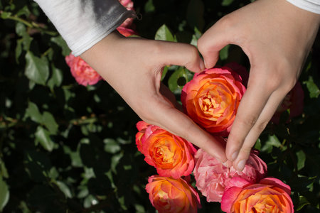 Hand holding a  colorful Rose Flower