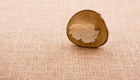 small piece of cut wood logs used for  wood texture backgroundの写真素材