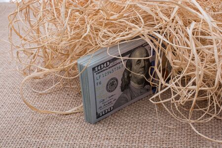 Banknote bundle of US dollar in a straw pile on canvasの写真素材