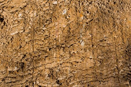 Soil surface as a background textureの写真素材