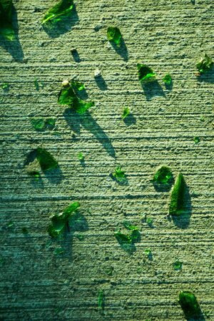 Background with a certain texture patternの写真素材