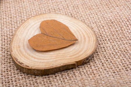 Heart shaped object on a piece of round woodの写真素材