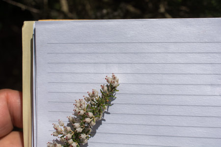 Colorful wild spring flowers in on a spiral a notebook