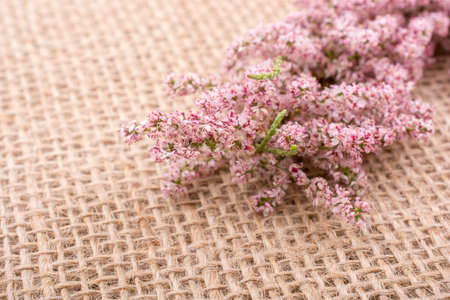 Colorful wild spring flowers in hand on a canvasの写真素材