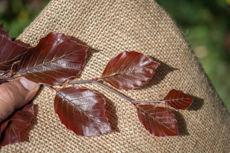 Leaves in hand over a notebook page
