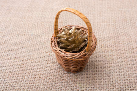 Pine cone in a tiny basket on a canvas backgroundの写真素材