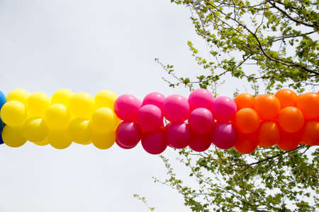 Colorful balloons in air between treesの写真素材