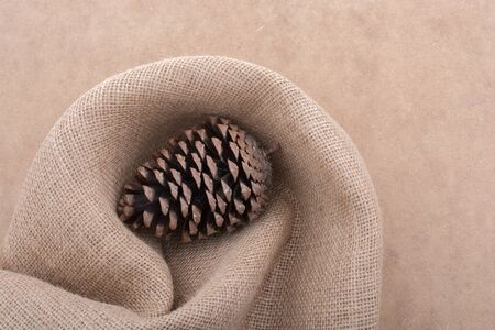 Pine cone on a linen canvas backgroundの写真素材