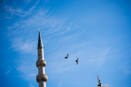 Pigeon flying in air by the side of a minaretの写真素材