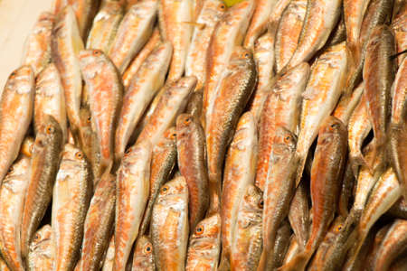 Fresh for sale at a fish marketの写真素材