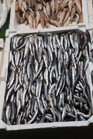 Fresh for sale at a fish marketの写真素材