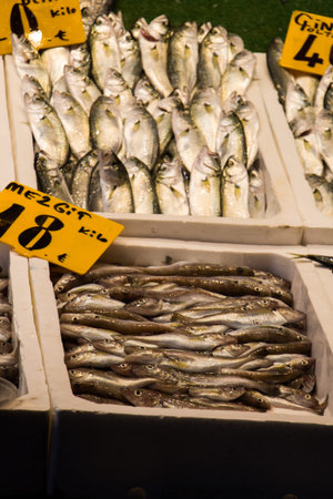 Fresh for sale at a fish market