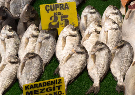 Fresh for sale at a fish marketの写真素材
