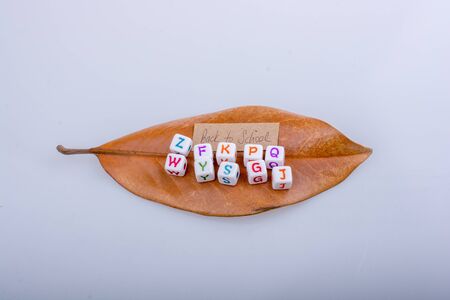 Back to school theme with colorful letter cubesの写真素材