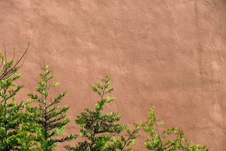 Wall with a part of a tree as a background