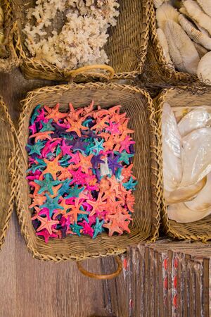 Beautiful starfish for decorative purposesの写真素材
