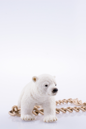 Polar bear cub and chain on a white backgroundの写真素材