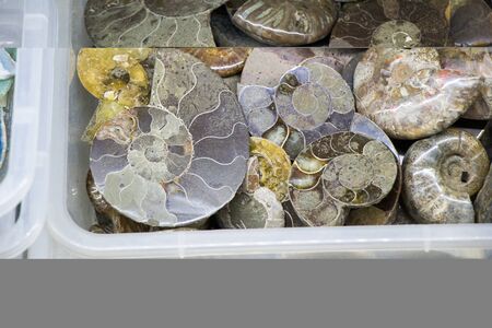 Set of natural mineral gemstones of a certain typeの写真素材