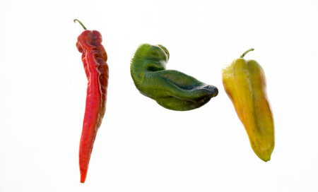 Red pepper plant found at the market stand
