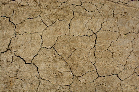 Soil surface as a background texture