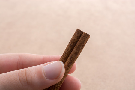 Cinnamon sticks  placed on a linen canvasの写真素材