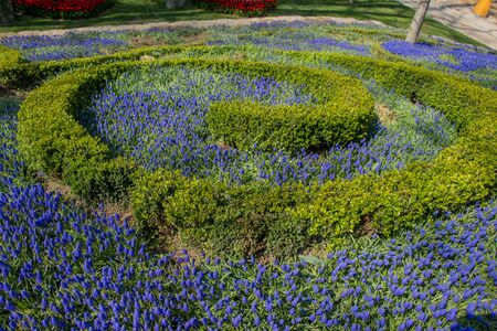 Beautiful fresh flowers as a backgroundの写真素材