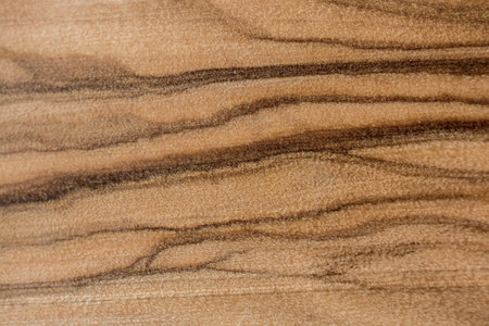 Wood texture with natural patterns as a background