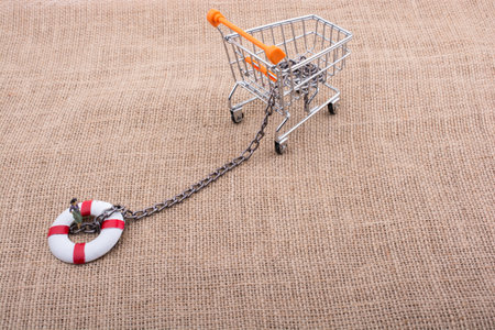 Shopping cart with life preserver on canvas background