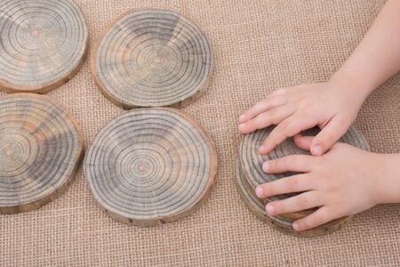 Wood Log cut in round thin pieces in handの写真素材