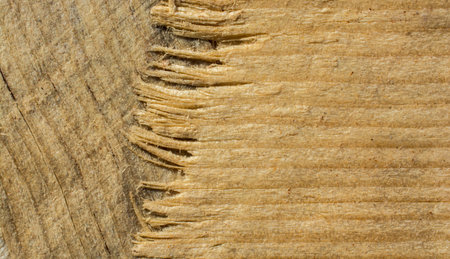 Wooden texture with natural patterns as a backgroundの写真素材