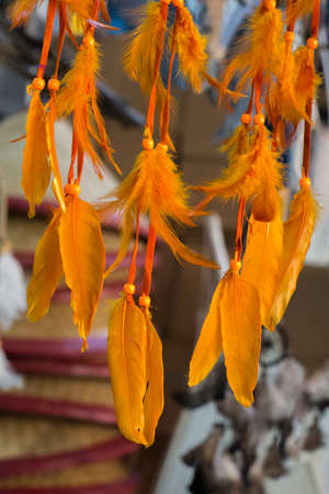 Beautiful bird feathers for decorative purposesの写真素材