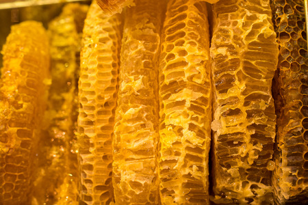 Sweet fresh honey in the sealed comb frameの写真素材