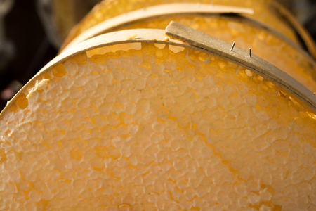 Sweet fresh honey in the sealed comb frameの写真素材