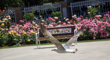 Arrayの写真素材