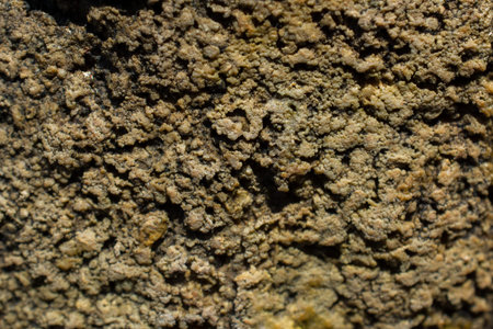 Natural  rock or Stone  surface as  background texture