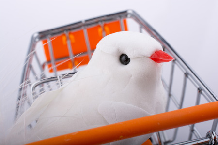 Little toy model bird of white color in viewの写真素材