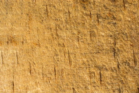 Wooden texture with natural patterns as a backgroundの写真素材