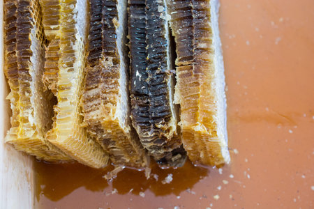 Fresh natural yellow honey in liquid form