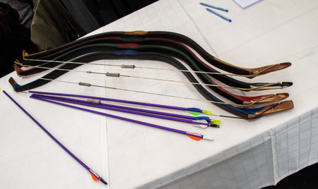 Bow and arrow old  weapon system archery
