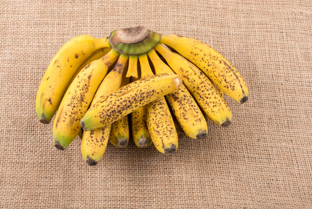 Bunch of yellow freckled bananas on a  canvas textureの写真素材